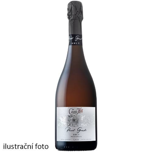 Cavas Hill Panot Gaudí brut Reserva DO Cava